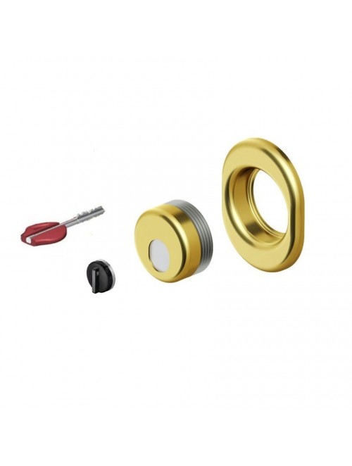 Προστατευτικό κυλίνδρου DEFENDER DISEC OMEGA ΜΑΓΝΗΤΙΚΟ χρυσό