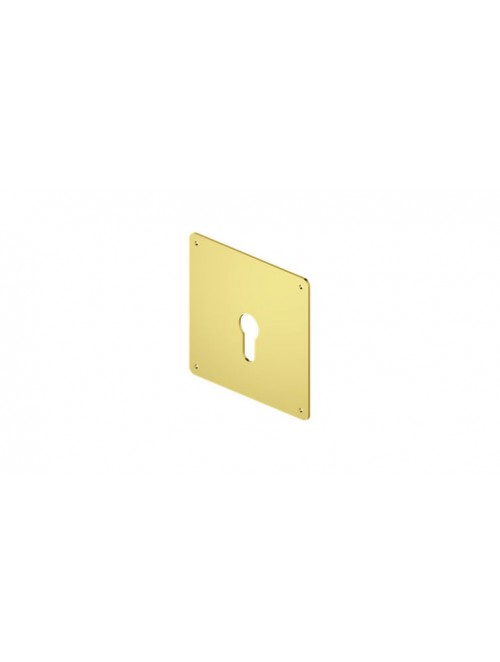 Ροζέτα εσωτερική κυλίνδρου για κλειδαριές MOTTURA (νίκελ)